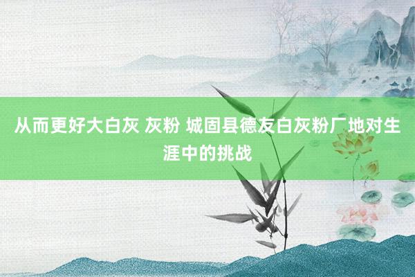 从而更好大白灰 灰粉 城固县德友白灰粉厂地对生涯中的挑战