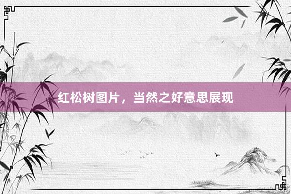 红松树图片,当然之好意思展现