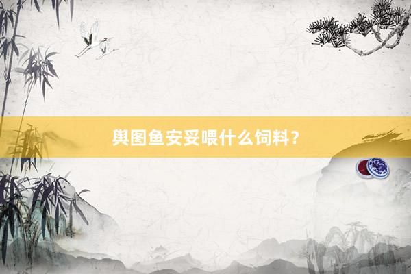 舆图鱼安妥喂什么饲料？